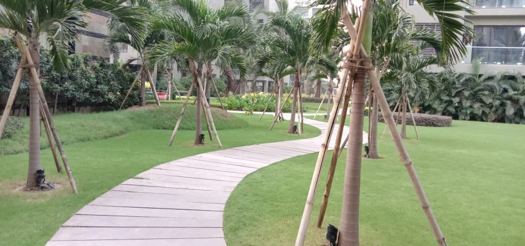 Garden pathway