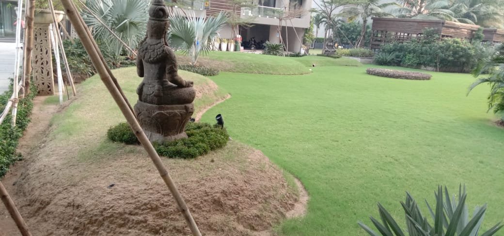 Lawn & common areas