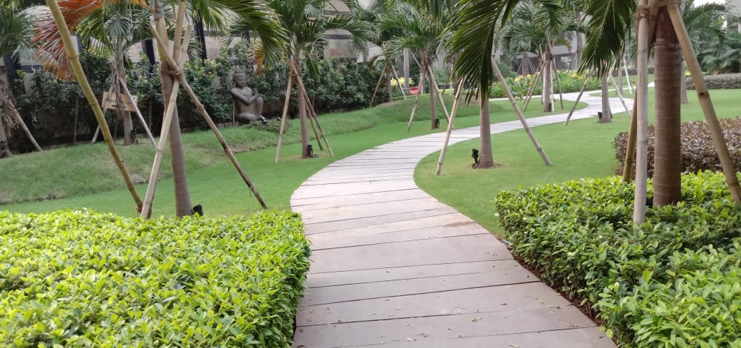 Paved garden walkway
