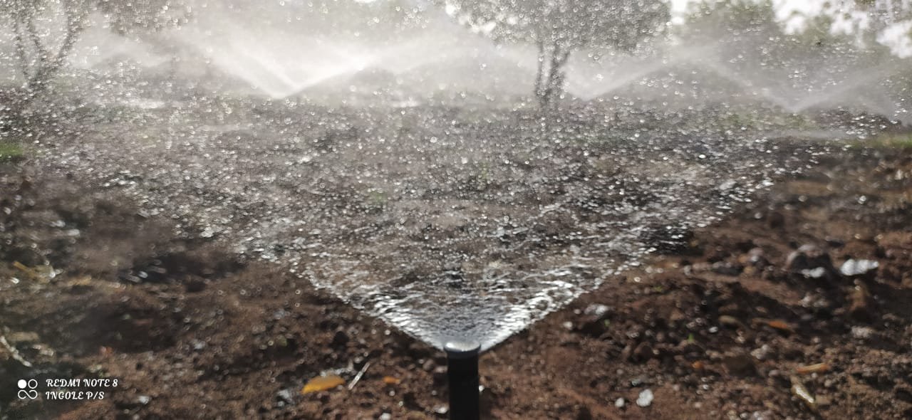Sprinkler in operation