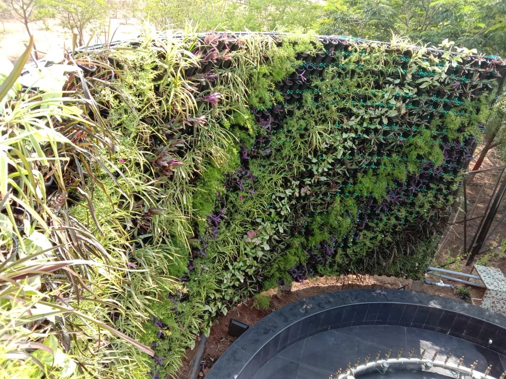 Vertical garden wall