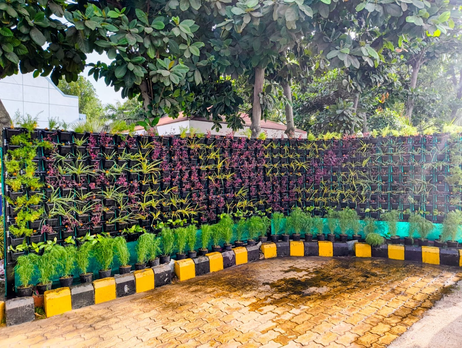 Modular green wall
