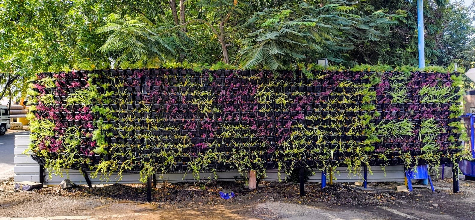 Living wall planting