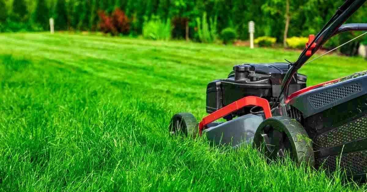 Lawn mowing & turf care